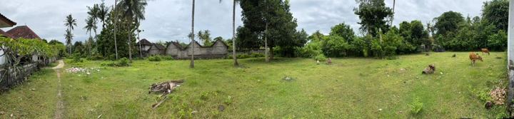 Prime Land Jungutbatu, Nusa Lembongan photo 2
