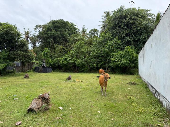 Prime Land Jungutbatu, Nusa Lembongan photo 10