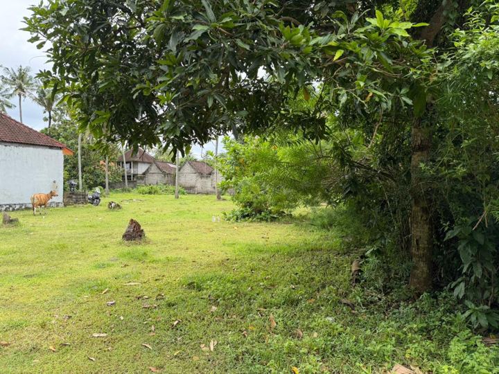 Prime Land Jungutbatu, Nusa Lembongan photo 12