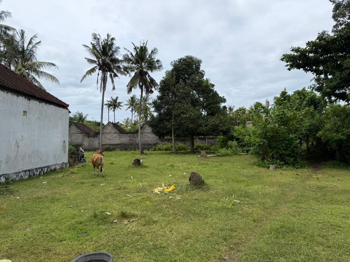 Prime Land Jungutbatu, Nusa Lembongan photo 13