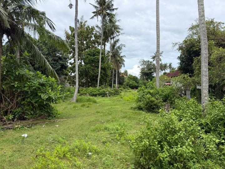 Prime Land Jungutbatu, Nusa Lembongan photo 3
