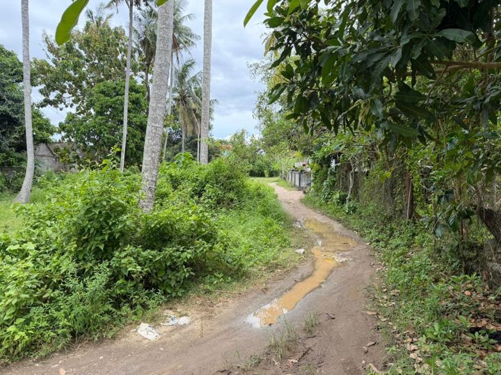 Prime Land Jungutbatu, Nusa Lembongan photo 4