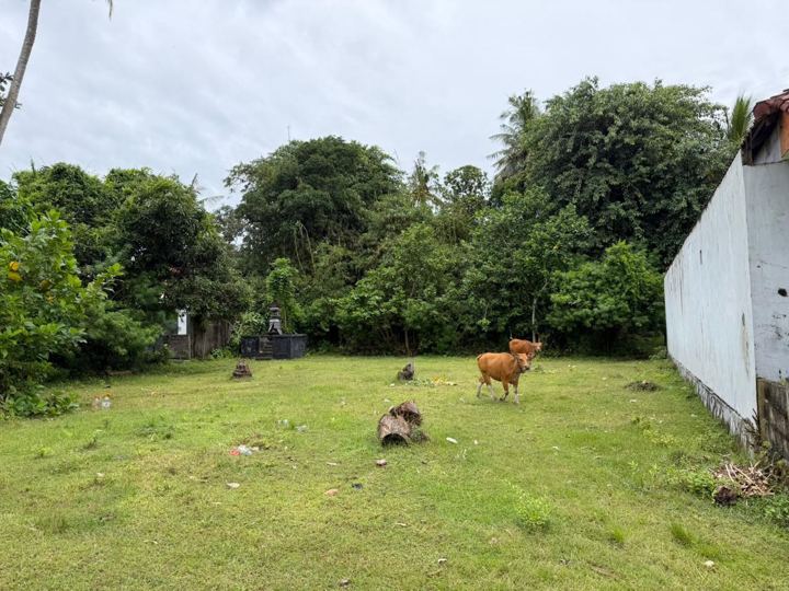 Prime Land Jungutbatu, Nusa Lembongan photo 5