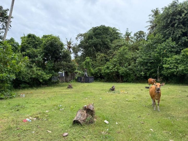 Prime Land Jungutbatu, Nusa Lembongan photo 9